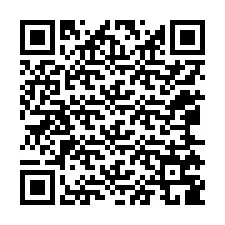 QR код за телефонен номер +12065789488