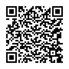 QR Code สำหรับหมายเลขโทรศัพท์ +12065789640