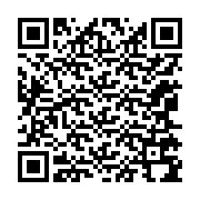 QR-code voor telefoonnummer +12065794875