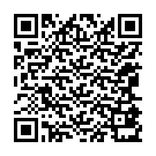 QR kód a telefonszámhoz +12065831074