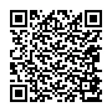 QR-koodi puhelinnumerolle +12065873256