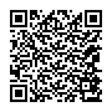 Código QR para número de telefone +12065873671