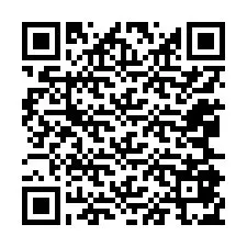 QR код за телефонен номер +12065875937