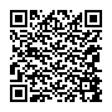 QR-code voor telefoonnummer +12065885670