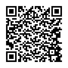 QR-code voor telefoonnummer +12065885672