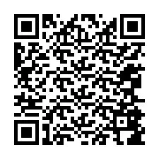 Código QR para número de telefone +12065886973