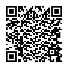 Código QR para número de telefone +12065889336