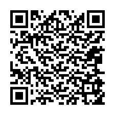 Kode QR untuk nomor Telepon +12065955187