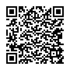 Codice QR per il numero di telefono +12065955496