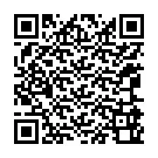 QR Code pour le numéro de téléphone +12065960000