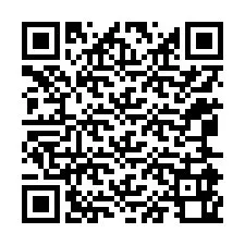 QR-код для номера телефона +12065960080