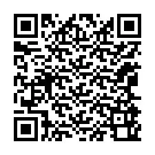 Codice QR per il numero di telefono +12065960265