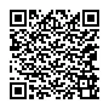 QR Code pour le numéro de téléphone +12065960478