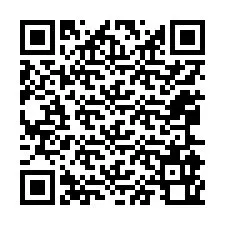 Código QR para número de telefone +12065960547