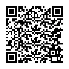 QR-koodi puhelinnumerolle +12065960578