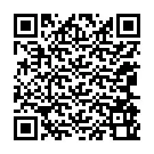 QR kód a telefonszámhoz +12065960734