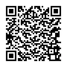 QR Code for Phone number +12065960860