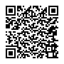 Kode QR untuk nomor Telepon +12065960887