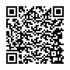 QR-код для номера телефона +12065963276