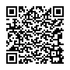 Código QR para número de telefone +12065991000