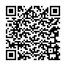 Codice QR per il numero di telefono +12065991002