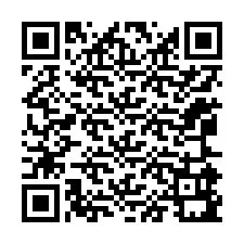 QR-код для номера телефона +12065991005