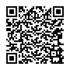 Codice QR per il numero di telefono +12065991006