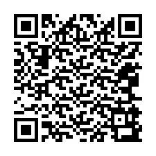 QR-code voor telefoonnummer +12065993433