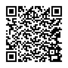 QR-code voor telefoonnummer +12065993629