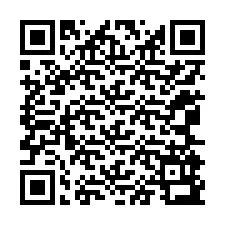 QR-код для номера телефона +12065993630