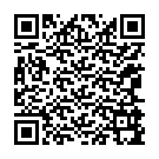 QR-код для номера телефона +12065995460