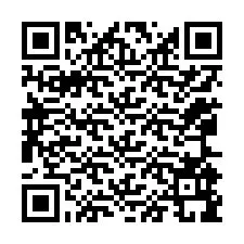 QR-code voor telefoonnummer +12065999709