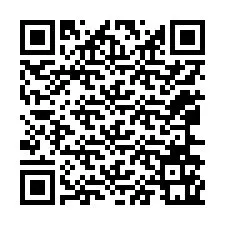 QR kód a telefonszámhoz +12066161749