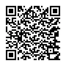 QR-код для номера телефона +12066310684