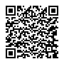 QR Code pour le numéro de téléphone +12066389628