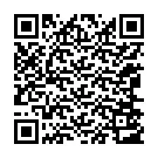 QR-code voor telefoonnummer +12066503394