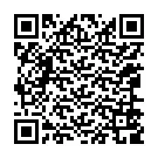 QR-Code für Telefonnummer +12066509848