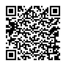 QR-Code für Telefonnummer +12066509849