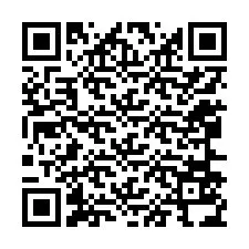 Código QR para número de telefone +12066534316