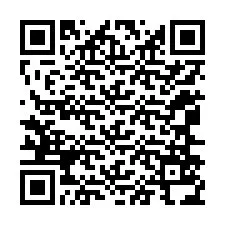 QR-код для номера телефона +12066534670