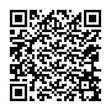 QR-код для номера телефона +12066595709