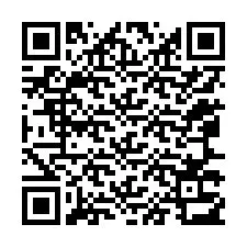 QR-code voor telefoonnummer +12067313708