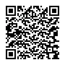 QR-код для номера телефона +12067384020