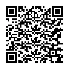 QR-koodi puhelinnumerolle +12067384021