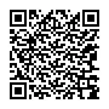 QR-код для номера телефона +12067384024