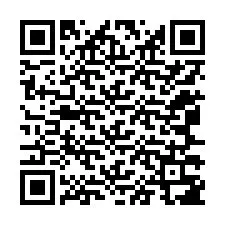 Codice QR per il numero di telefono +12067387234