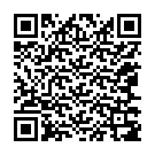 QR kód a telefonszámhoz +12067387238