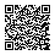 QR-code voor telefoonnummer +12067387241