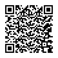 QR код за телефонен номер +12067388079