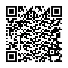 QR kód a telefonszámhoz +12068534274